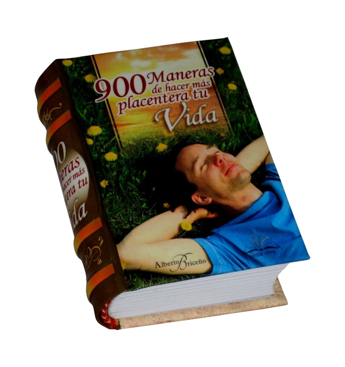 900_maneras-hacer-placentera-tu-vida-miniature-book-libro